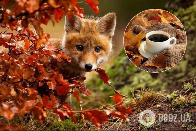 Синоптик дала прогноз погоды в Украине на выходные