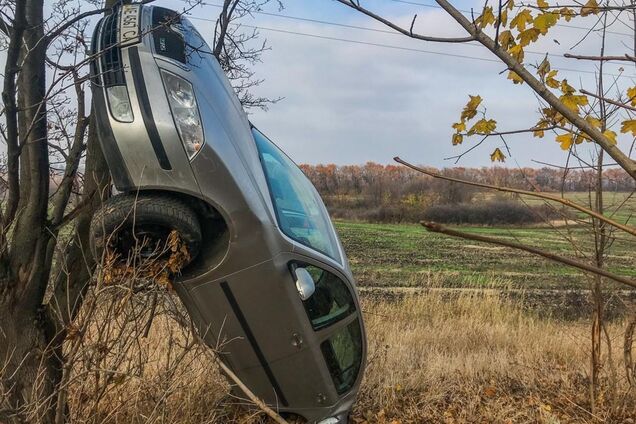 Повис на дереві: під Дніпром сталася ДТП з переворотом