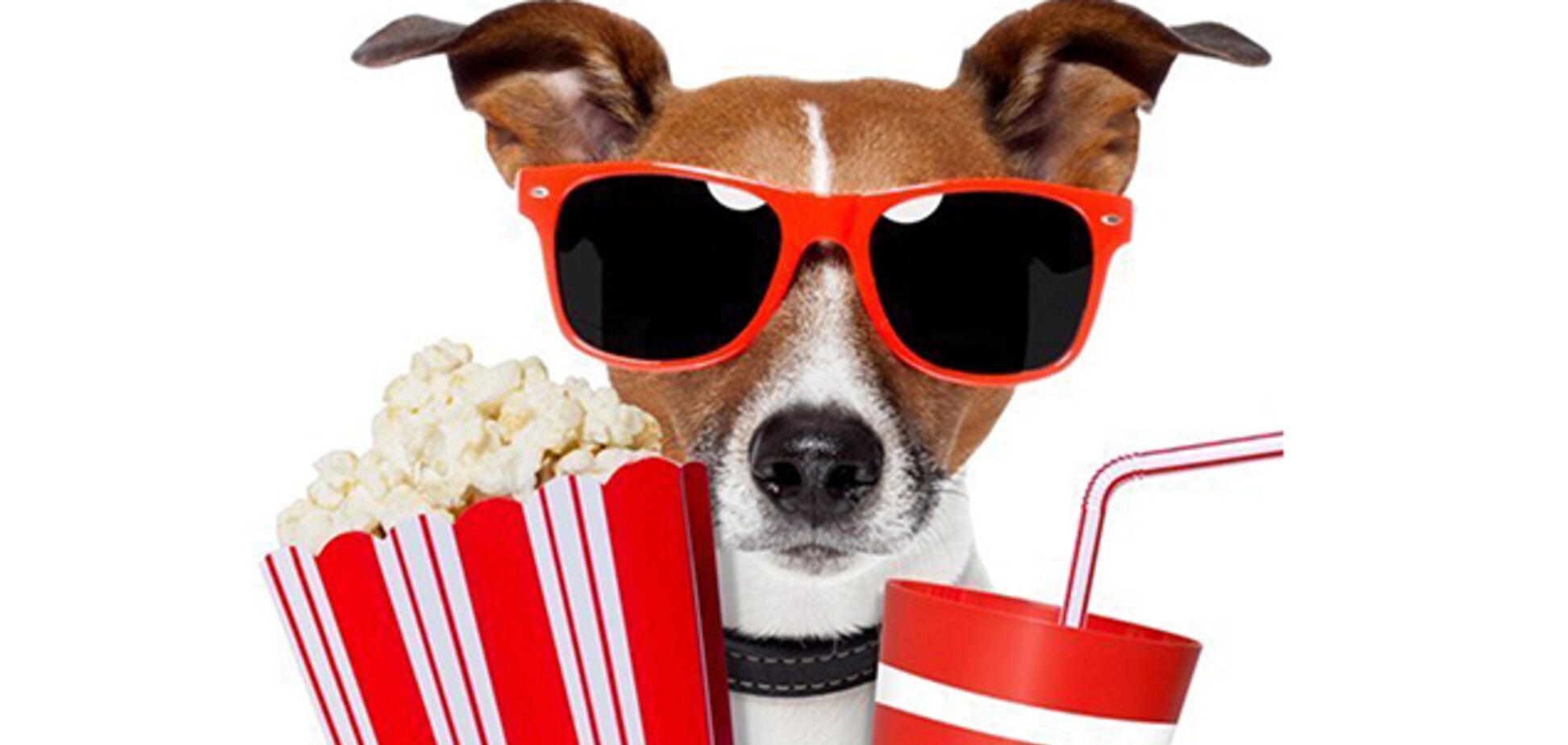 Киноафиша Днепра: что посмотреть на выходных