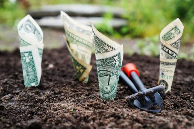 Кріпаки 21 сторіччя: земельний жах законопроєкту 2194