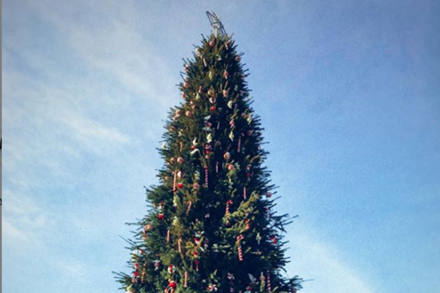 Новогодняя елка в Киеве