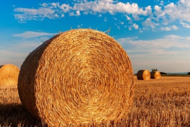 Реформа проти земельна дискримінації: потрібен закон про “Ефективну землю”