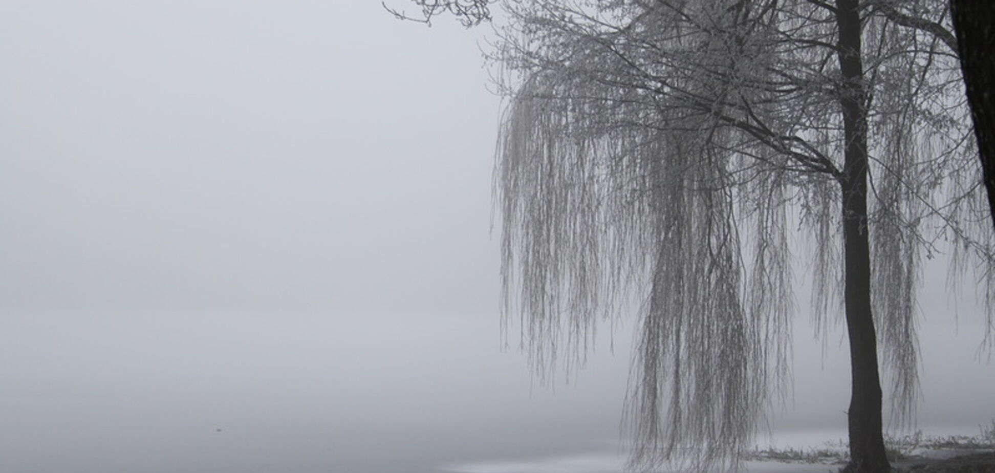 В Украине из-за погоды объявили 'желтый' уровень опасности