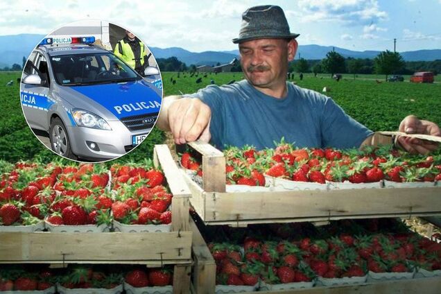 Дерутся, воруют и ездят пьяными: в Польше возмущены украинскими заробитчанами