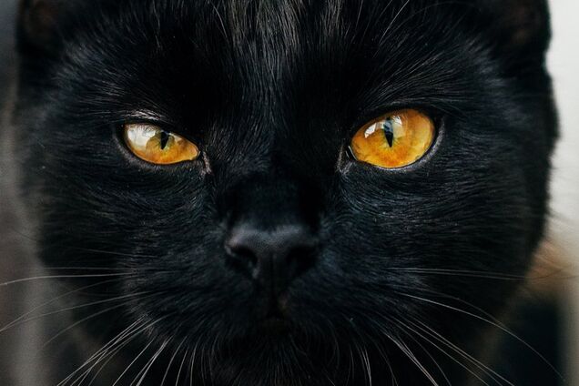 Пятница 13-е: что категорически нельзя делать, чтобы не навлечь неприятности