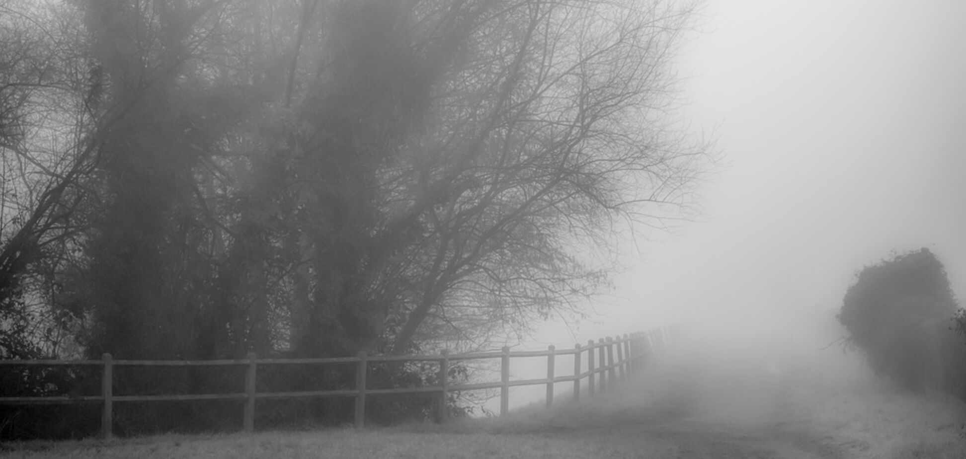 Холод і густий туман: синоптики дали прогноз погоди на 12 грудня