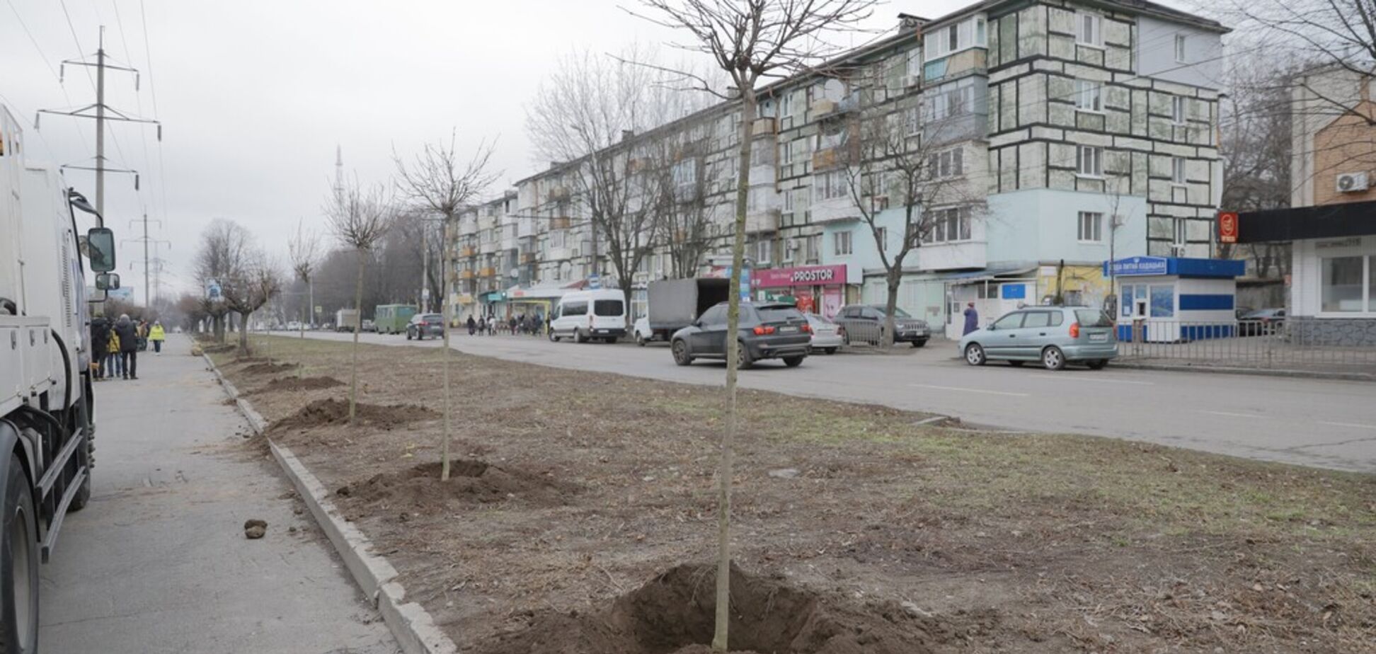 В Днепре высадят более 200 молодых деревьев на проспекте Поля