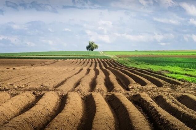 'Повышает прозрачность экономики': посол Литвы поделился опытом о рынке земли