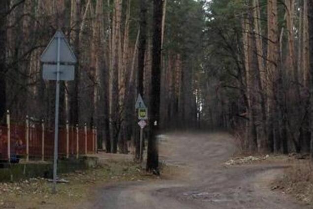 Нашли в лесу: под Киевом при страшных обстоятельствах умер парень