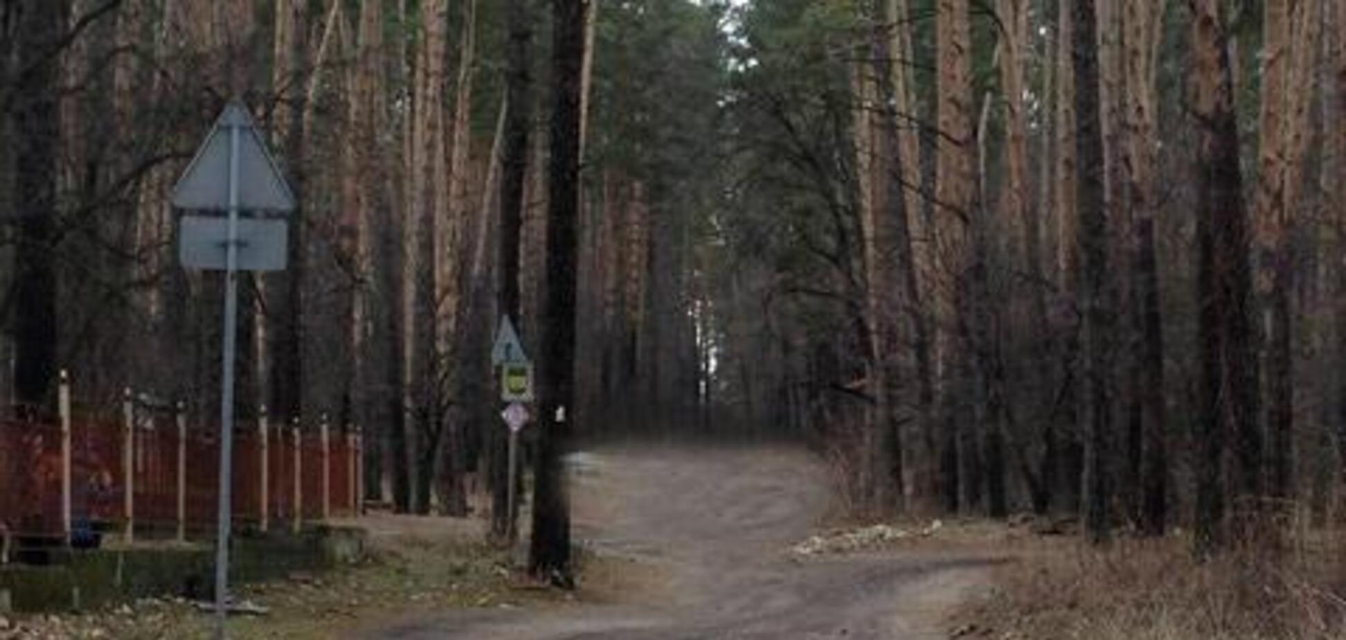Нашли в лесу: под Киевом при страшных обстоятельствах умер парень