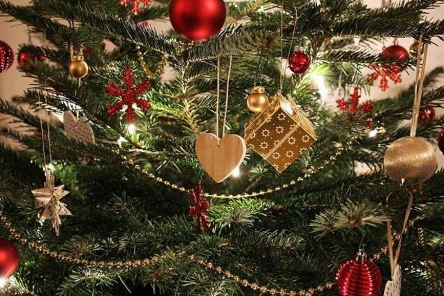 Від 150 гривень до 1000 доларів: ціни на ялинки в Дніпрі