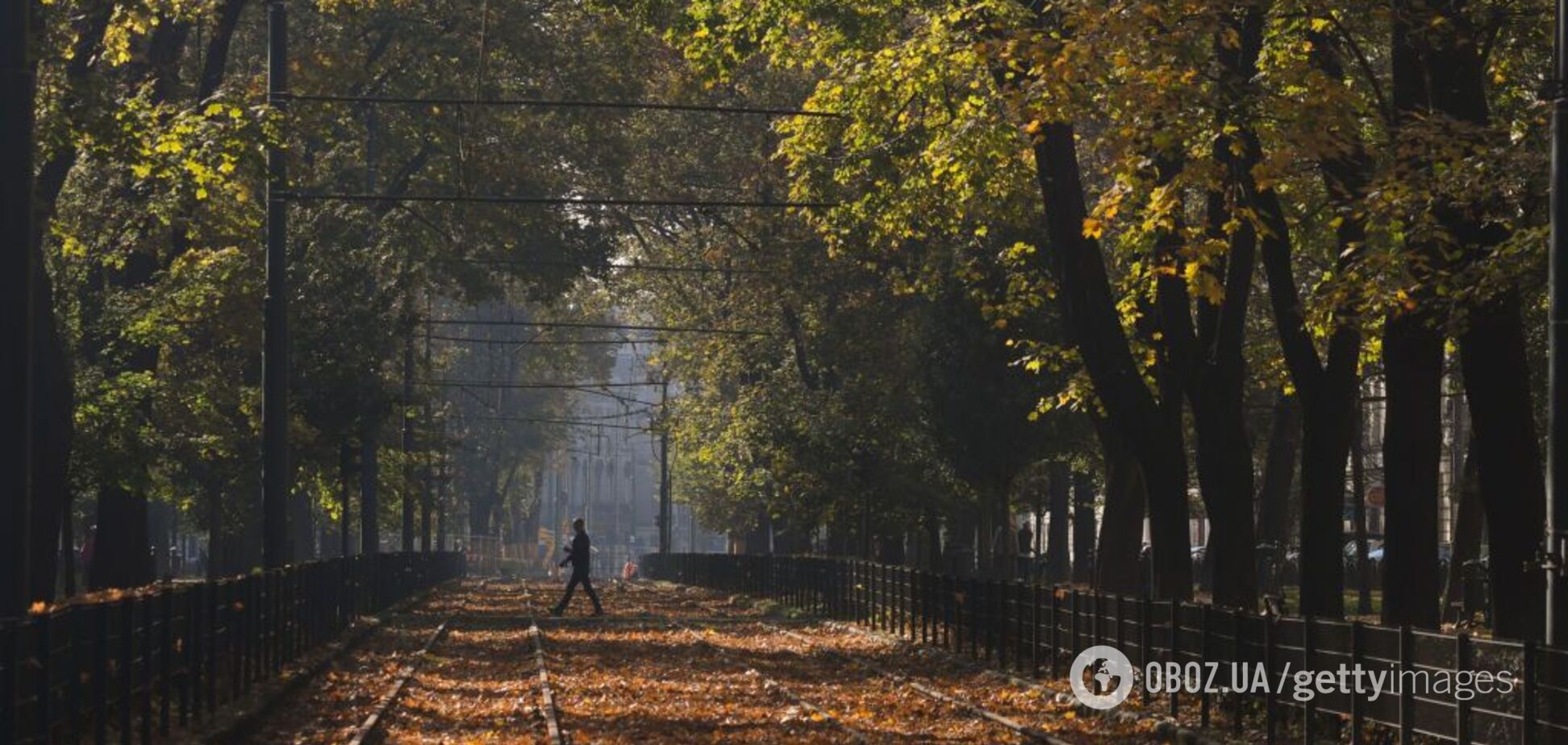 Тепло и солнечно: синоптики порадовали прогнозом погоды в Украине