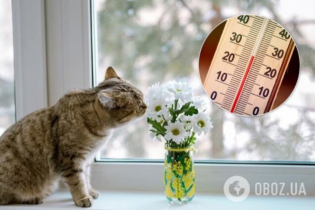 До +18 і дощі: синоптикиня дала теплий прогноз по Україні