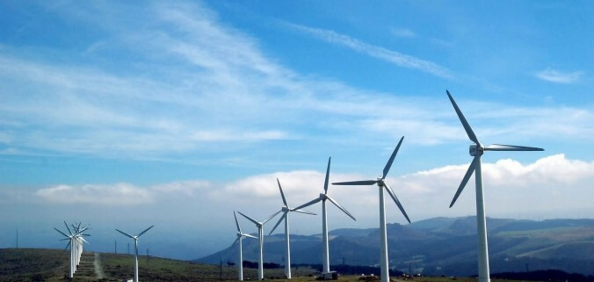 Еще одна: в Украине очередная компания взяла паузу из-за 'зеленого тарифа'