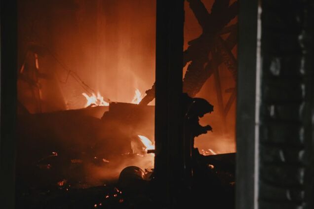 Тварин не врятували: в Дніпрі сталася масштабна пожежа в приватному секторі