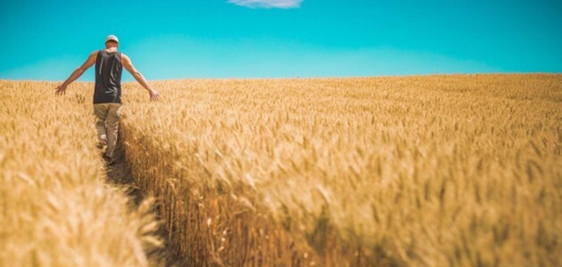 Як безкоштовно отримати землю в Дніпрі