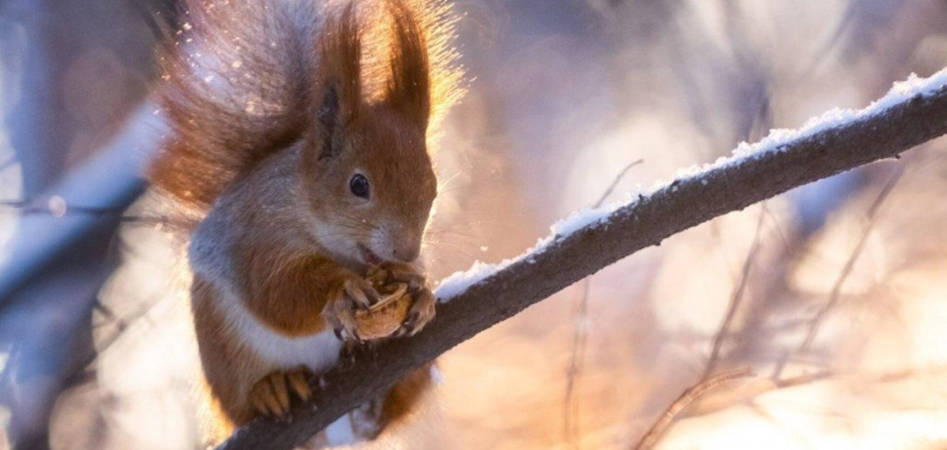 До +16: синоптики пообіцяли ще один аномально теплий день в Україні