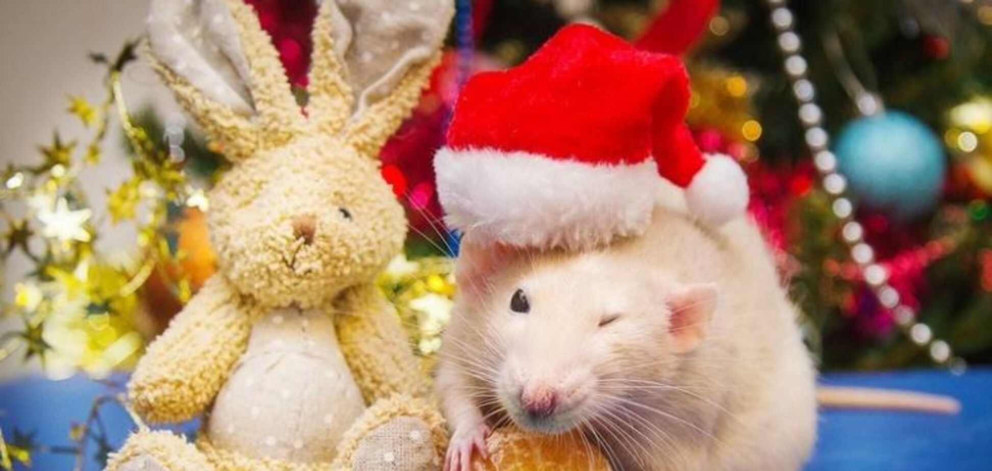 Новий рік 2020: які прикмети віщують щастя і достаток