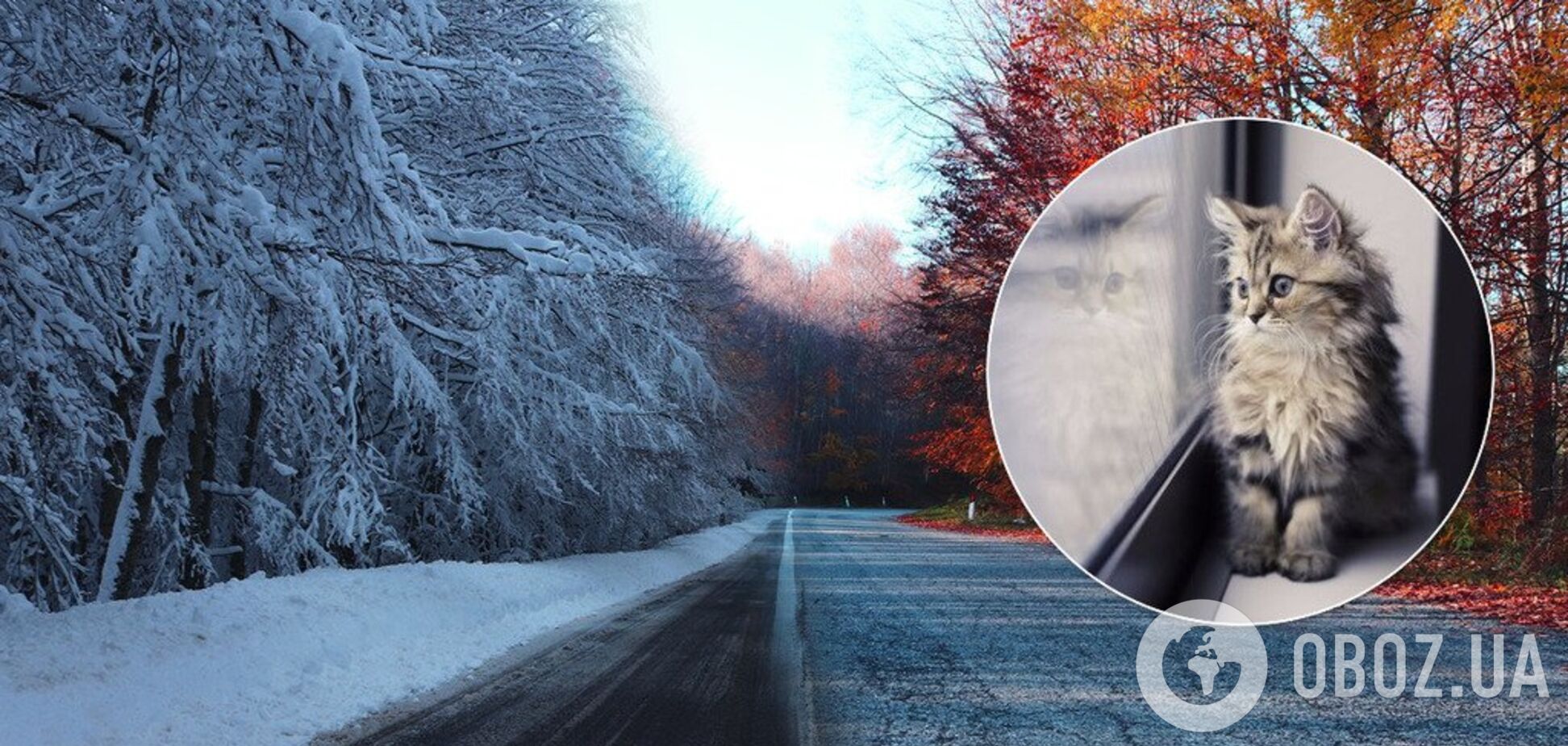 Похолодання з березневим настроєм: синоптикиня попередила про зміну погоди в Україні