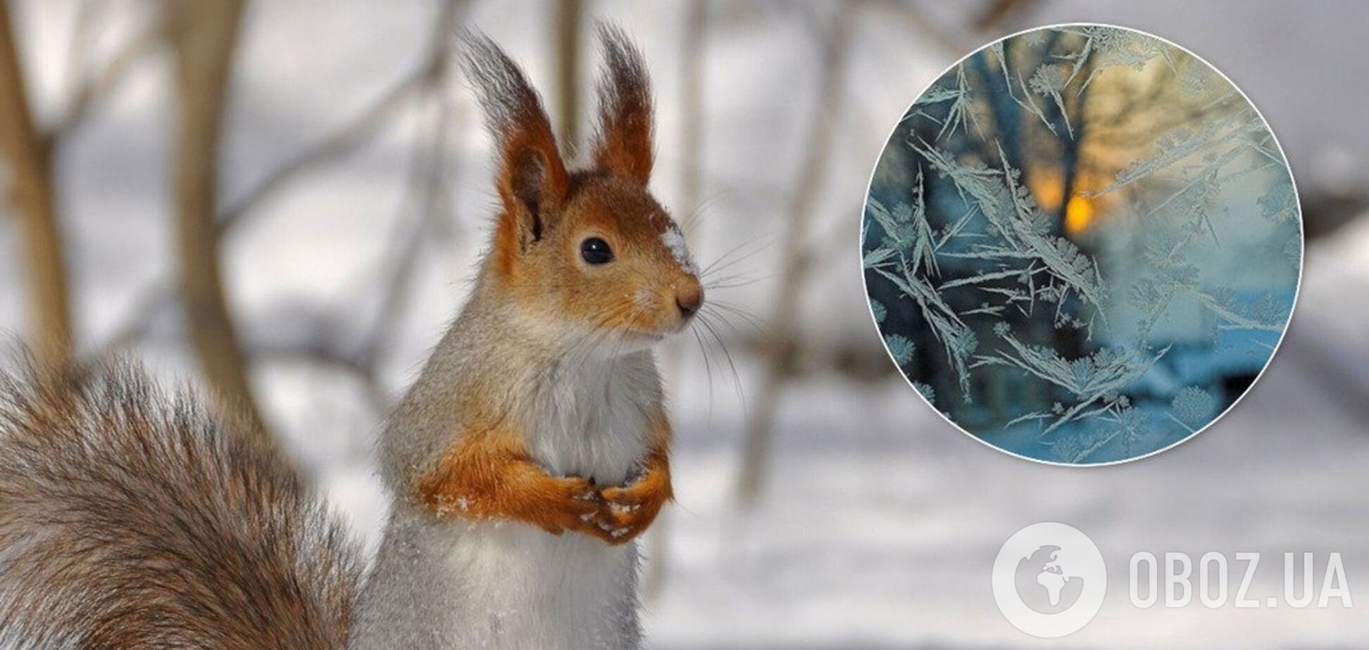 В Украину идет существенное похолодание: Гидрометцентр назвал дату