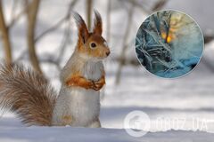 В Украину идет существенное похолодание: Гидрометцентр назвал дату