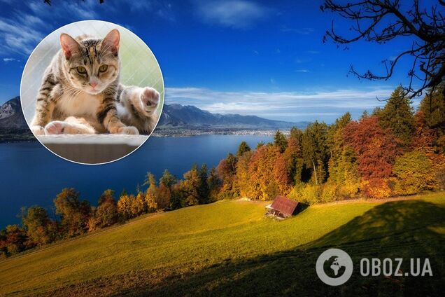 Погода в Украине побила все рекорды: выяснилась причина