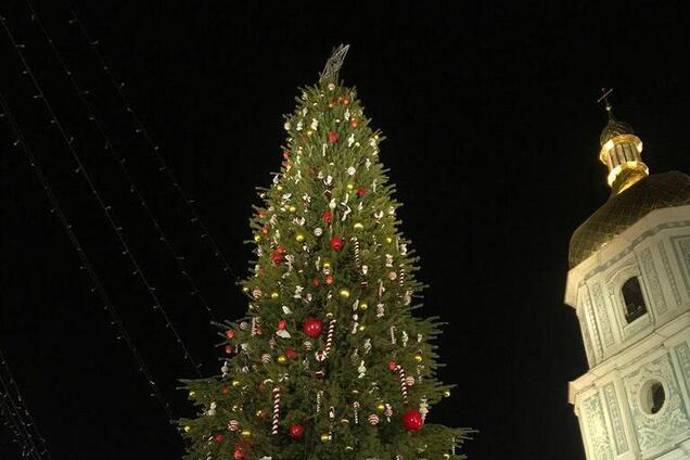 В Киеве зажгли главную елку страны: все о праздновании в столице
