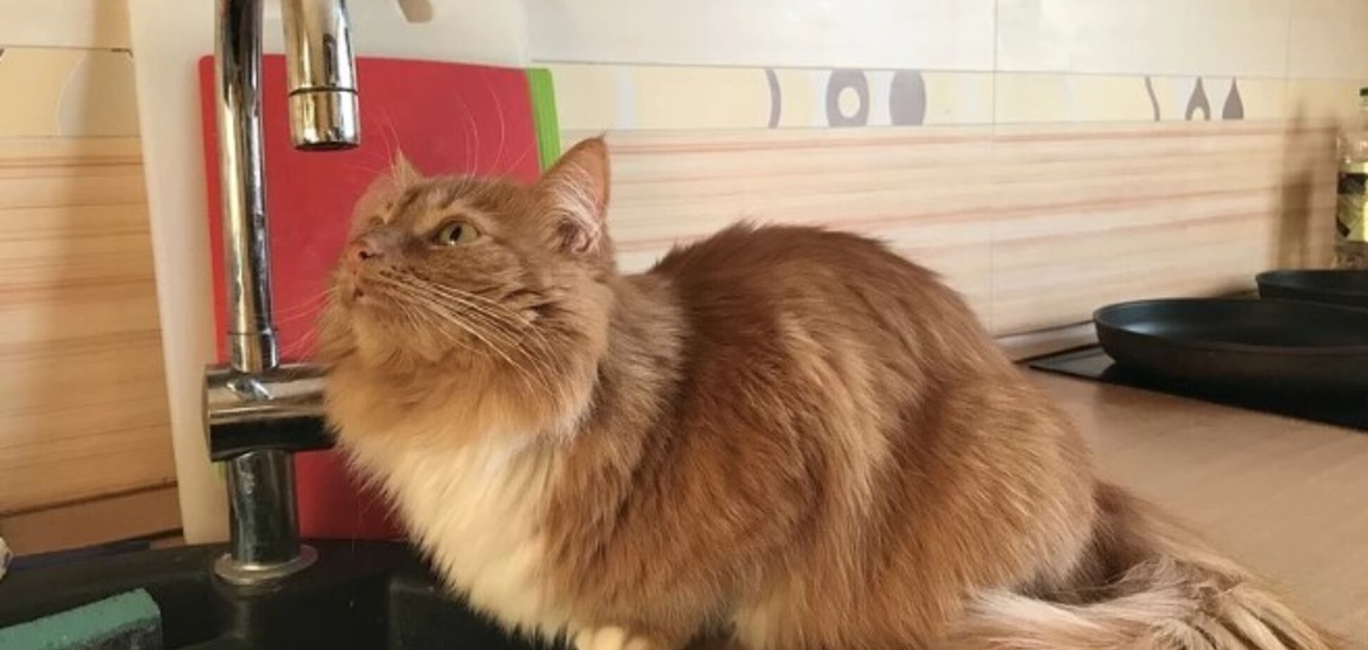 Часть Днепра останется без воды: кого коснется