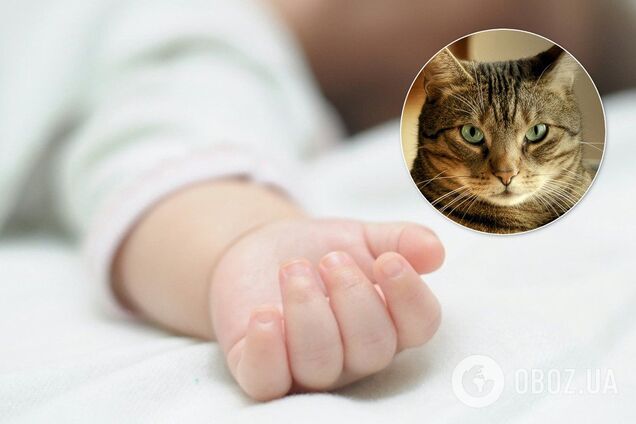 Кіт задушив немовля