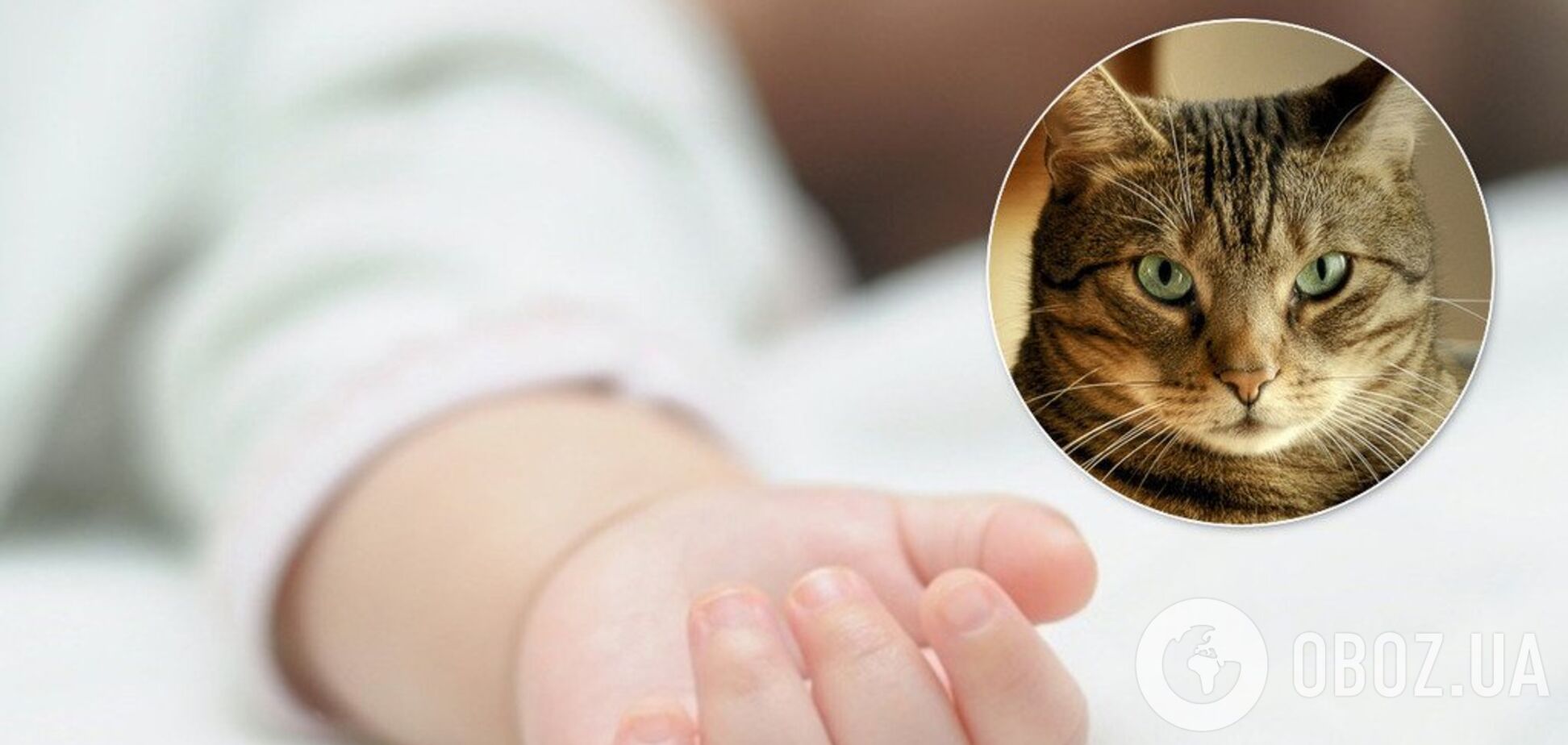 На Вінниччині кіт випадково задушив 9-місячну дитину