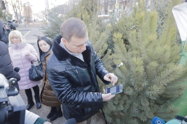 У Дніпрі влаштували перевірки ялинкових базарів
