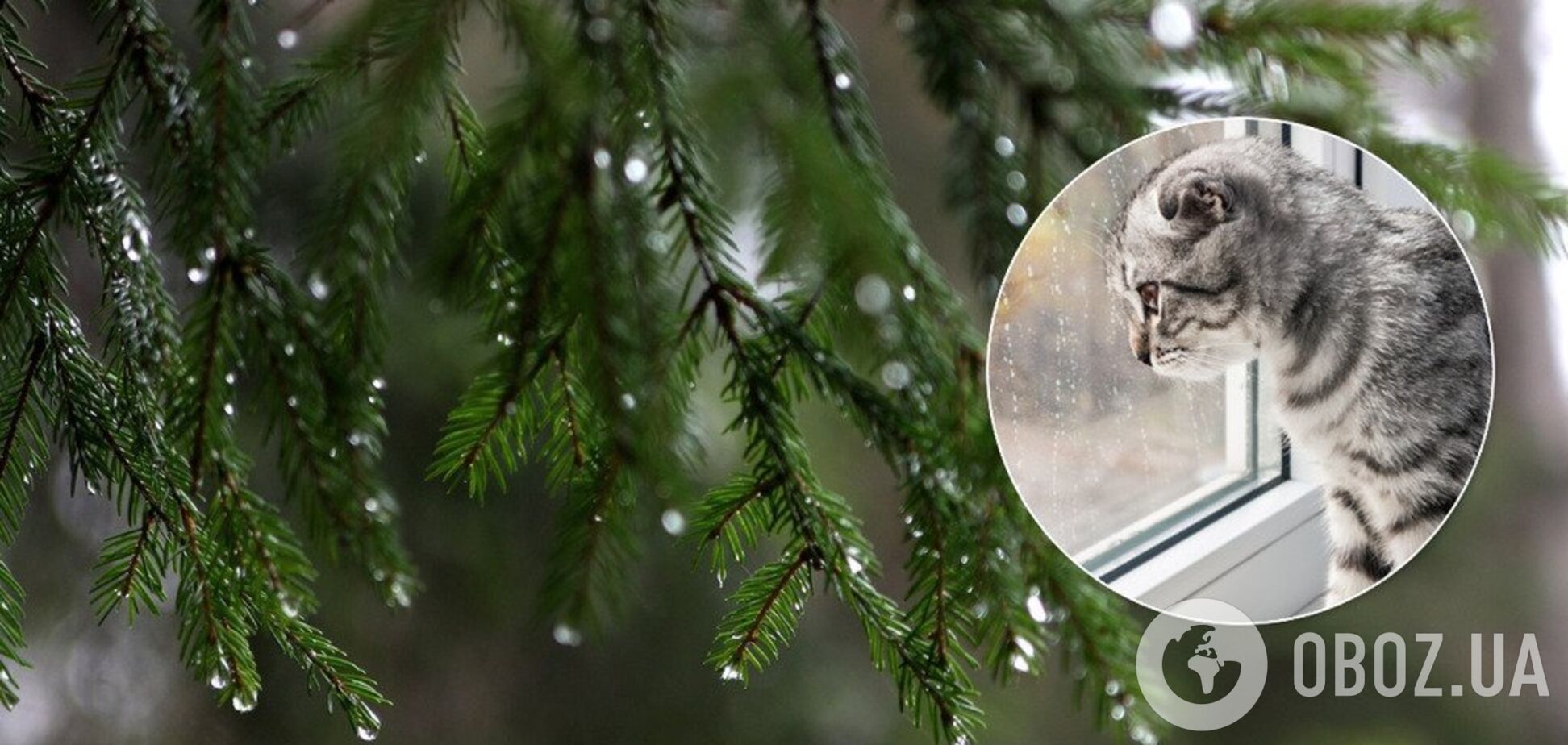 Зальет дождями: синоптики дали неутешительный прогноз на начало следующей недели по Украине