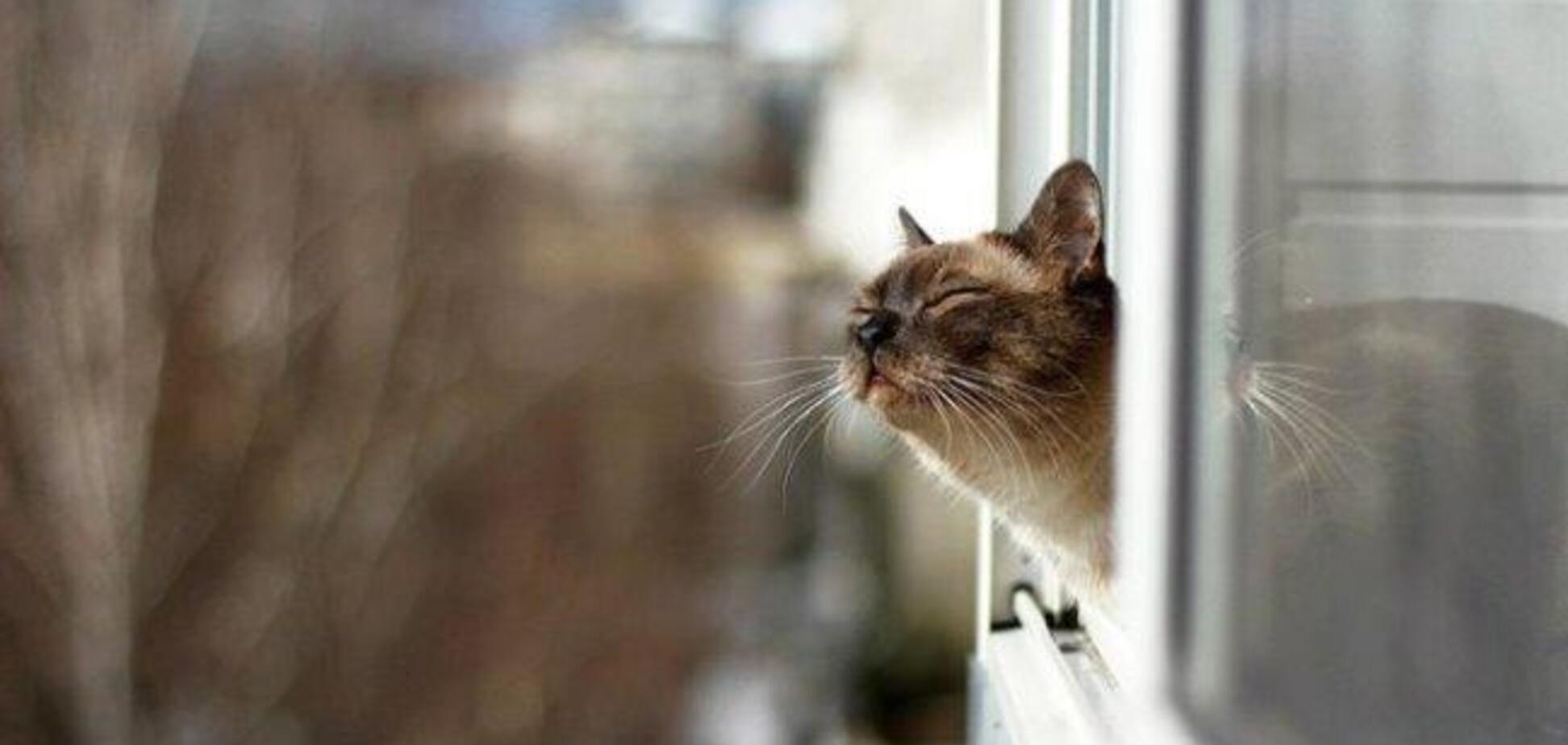 До +14, но с дождями: синоптик уточнила 'весенний' прогноз погоды в Украине