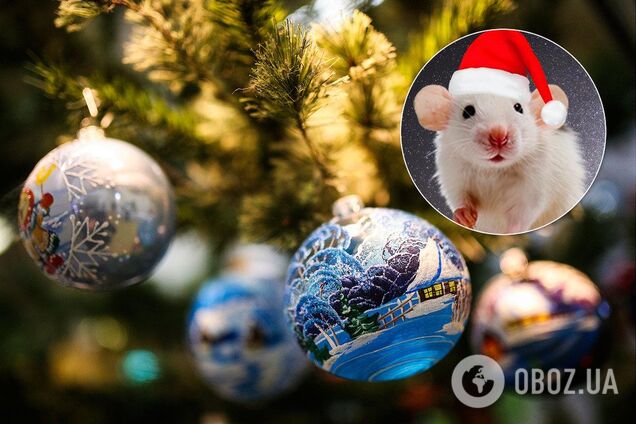 Ялинка на Новий Рік Щура: маг сказав, що не можна на неї вішати
