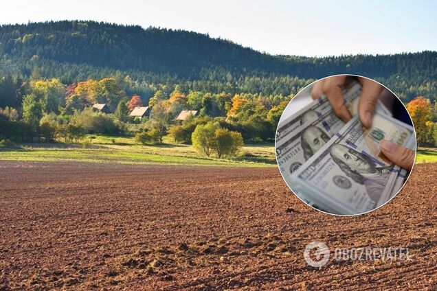 Ринок землі: названо можливі величезні втрати бюджету України через закон