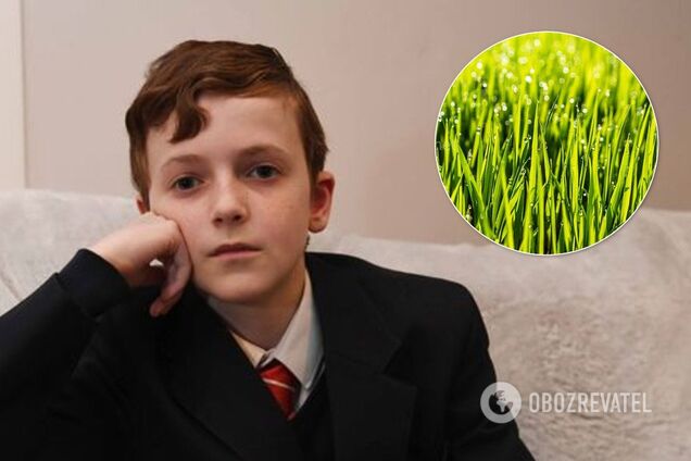 Однокласники змусили хлопчика-вегана їсти траву з газону: фото