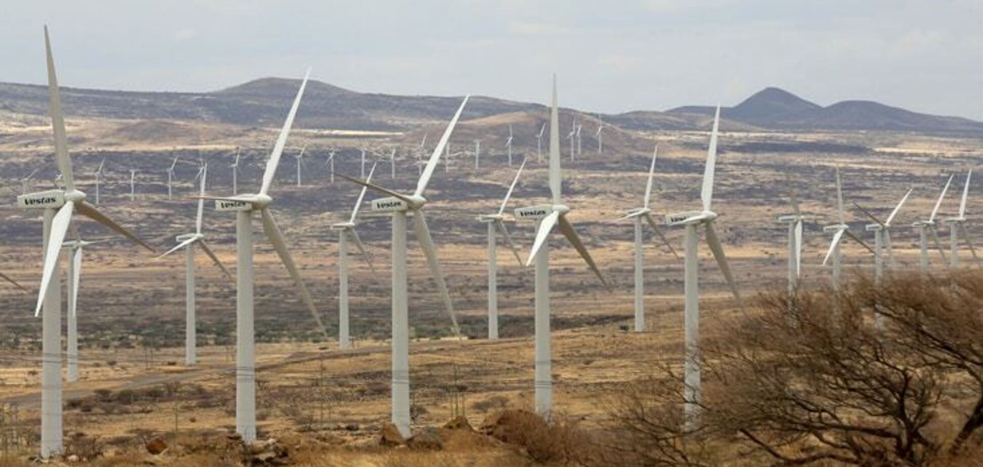 Найбільша на континенті: в Африці побудують гігантську вітроелектростанцію