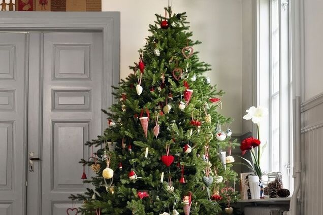 Что нельзя делать с елкой на Новый год-2020: 5 главных запретов