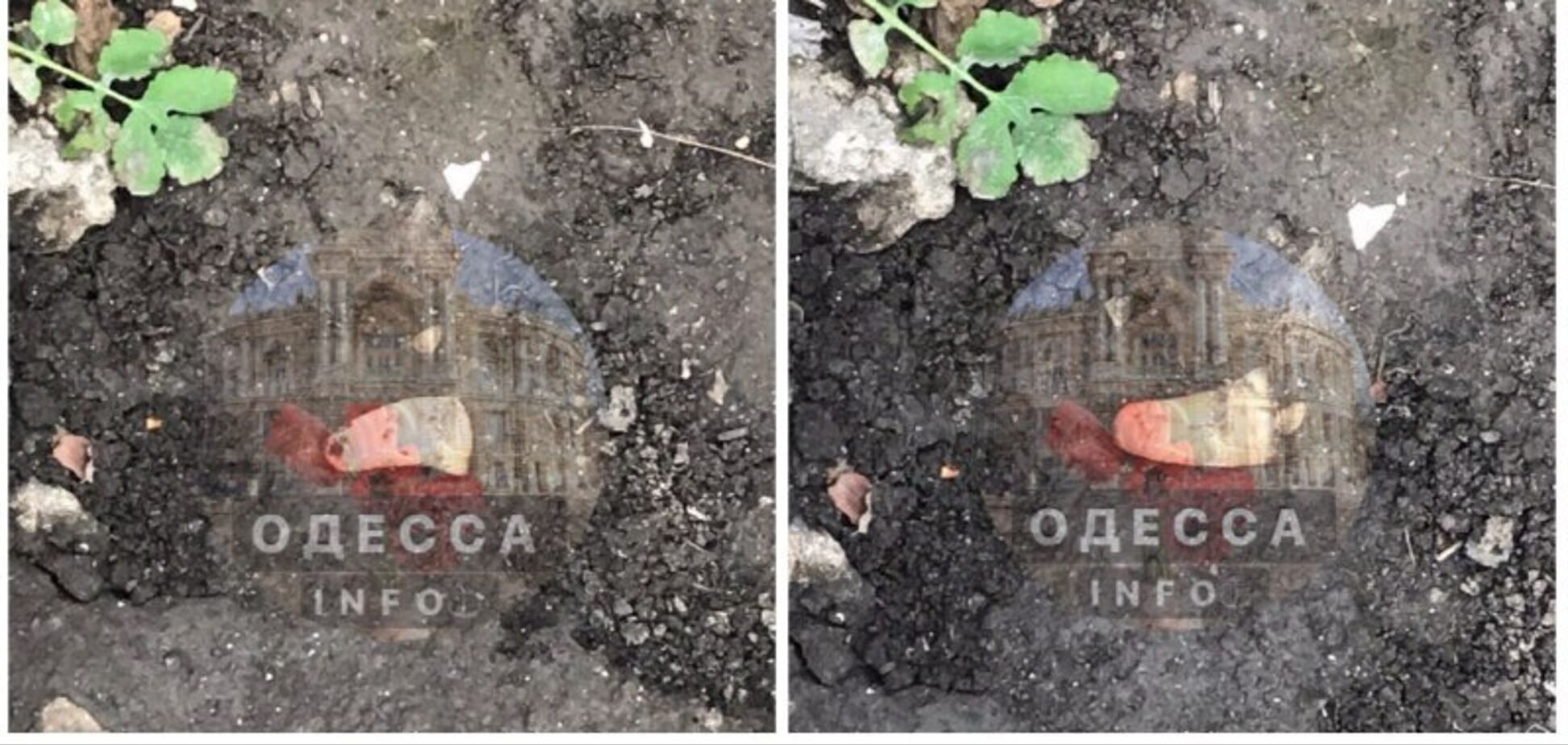 На вулиці Одеси знайшли відрізаний палець