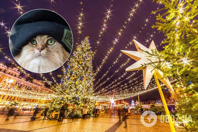 Погода на Новый год в Украине: в Гидрометцентре заявили об аномалии