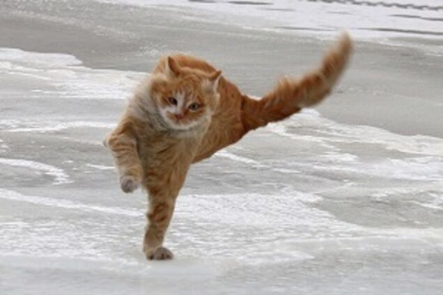 Штормовий вітер і мокрий сніг: українців попередили про погіршання погоди