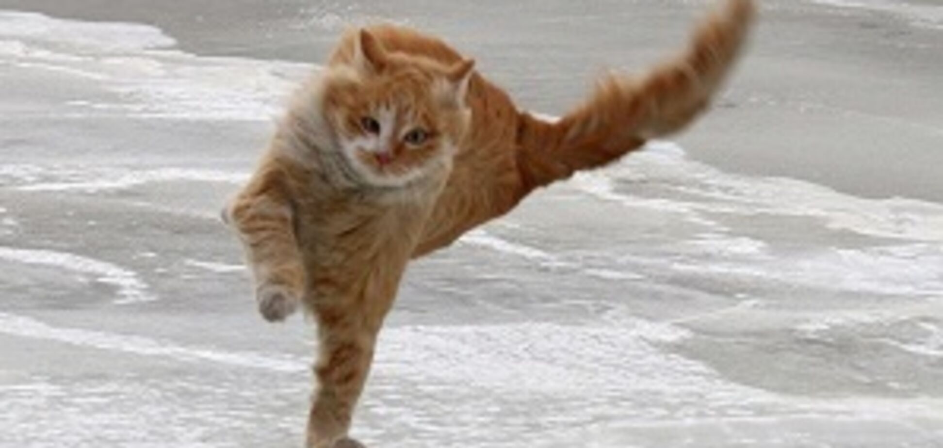 Штормовий вітер і мокрий сніг: українців попередили про погіршання погоди