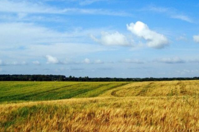 Земельний карнавал і звьоздні війни: Епізод Z