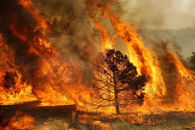 Над популярным курортом в Австралии нависла смертельная опасность: объявлена эвакуация