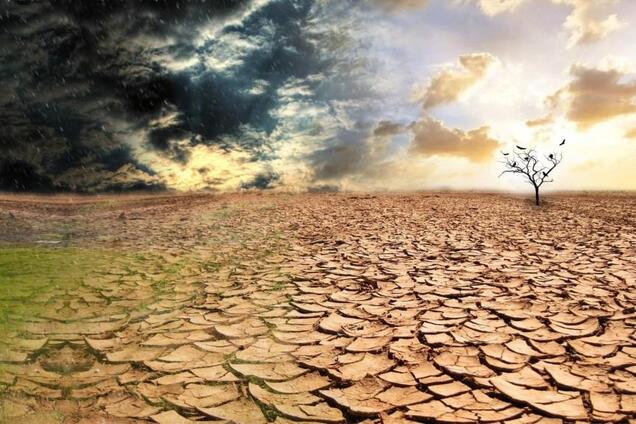 Над Землей нависла угроза глобального голода: кто в опасности