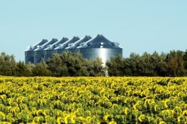 Рынок вырос в разы: Украина нашла способ, как слезть с 'газовой иглы' России