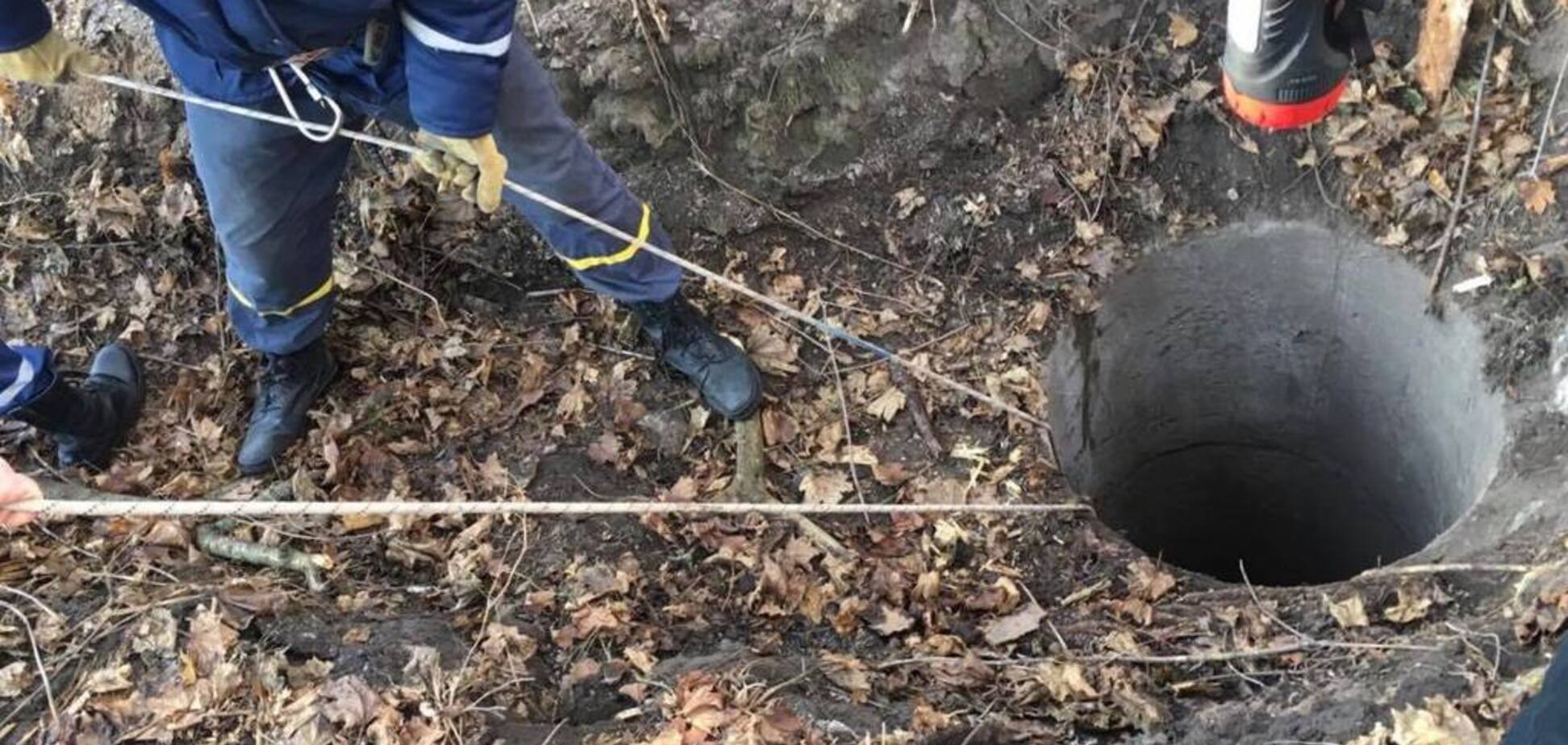 На Київщині жорстоко розправилися з іноземним бізнесменом