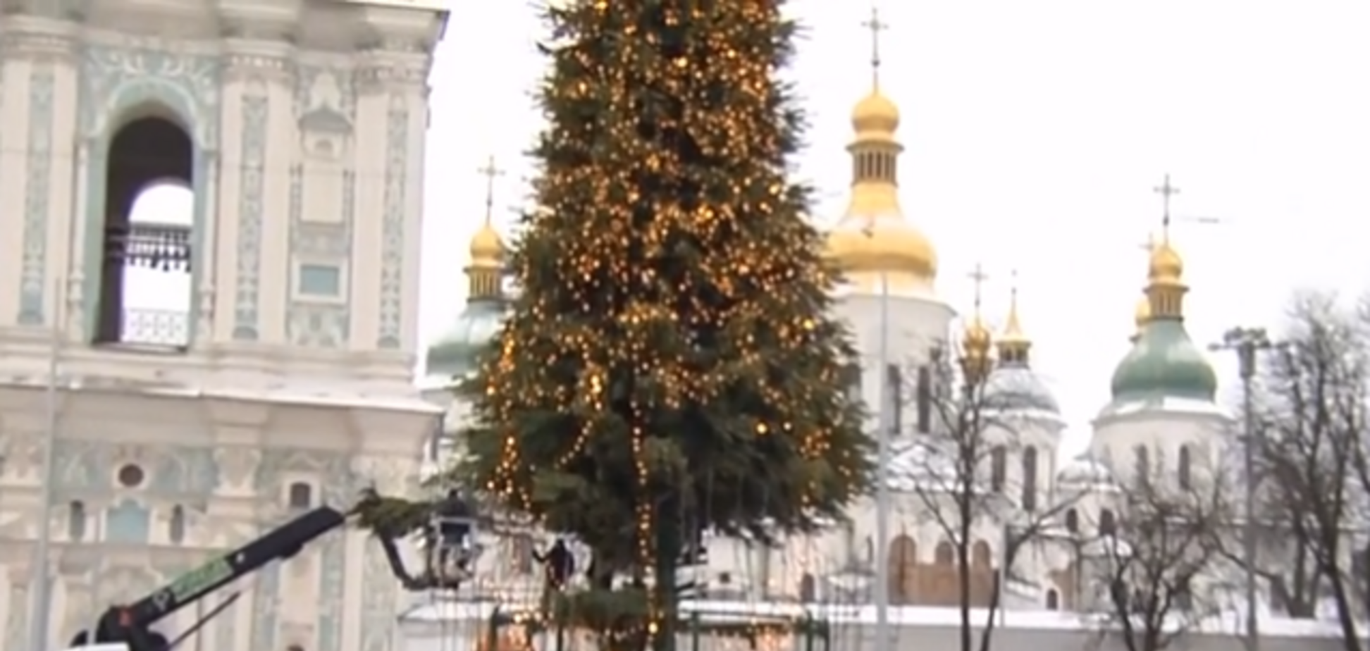 У Києві показали, як збирають ялинку до Нового року