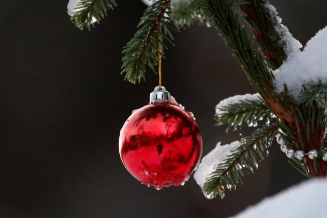 Синоптик дала свежий прогноз на Новый год
