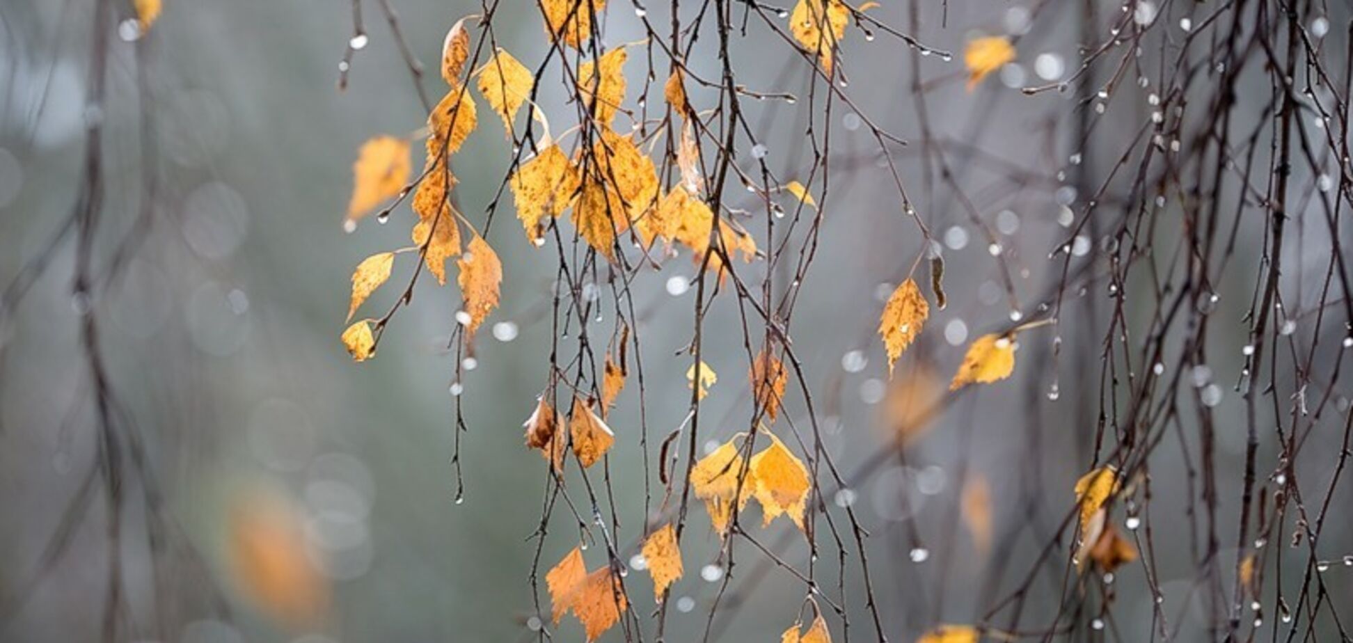 Будем без снега: появился прогноз погоды на выходные в Украине